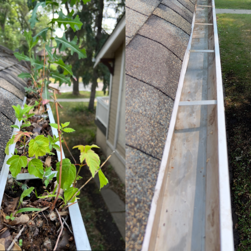 Gutter Cleaning