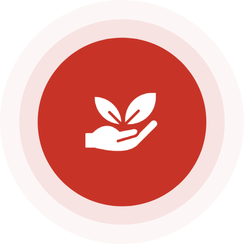 eco (11)